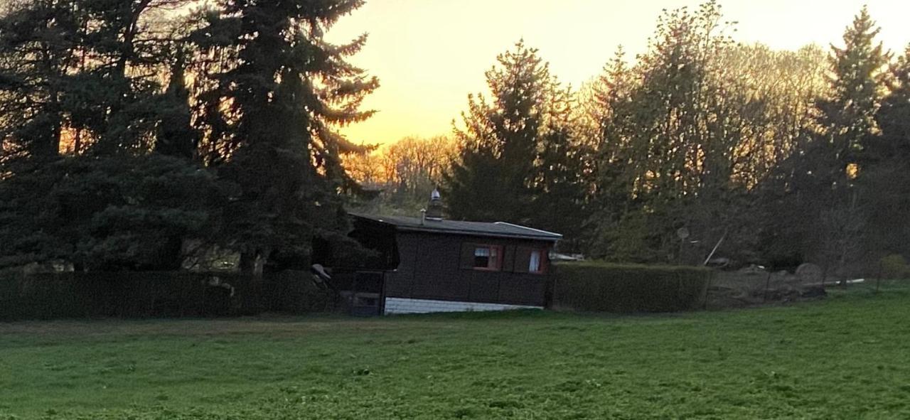 Ferienhaus Zittertal Neustadt Harz Haus I Villa Harztor Exteriör bild