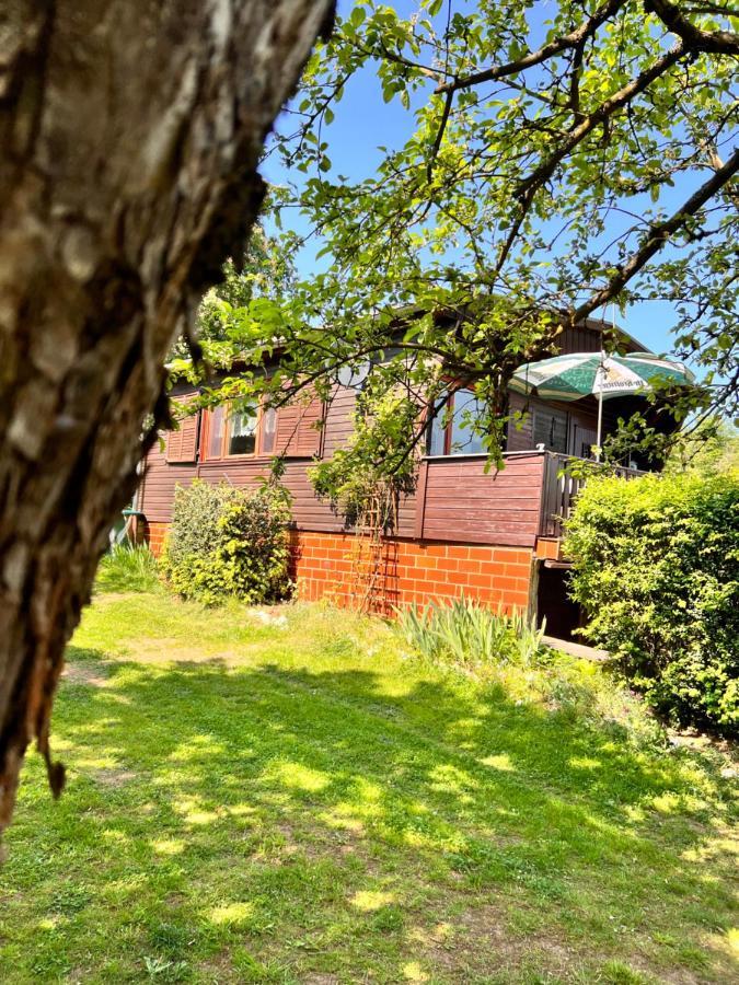 Ferienhaus Zittertal Neustadt Harz Haus I Villa Harztor Exteriör bild