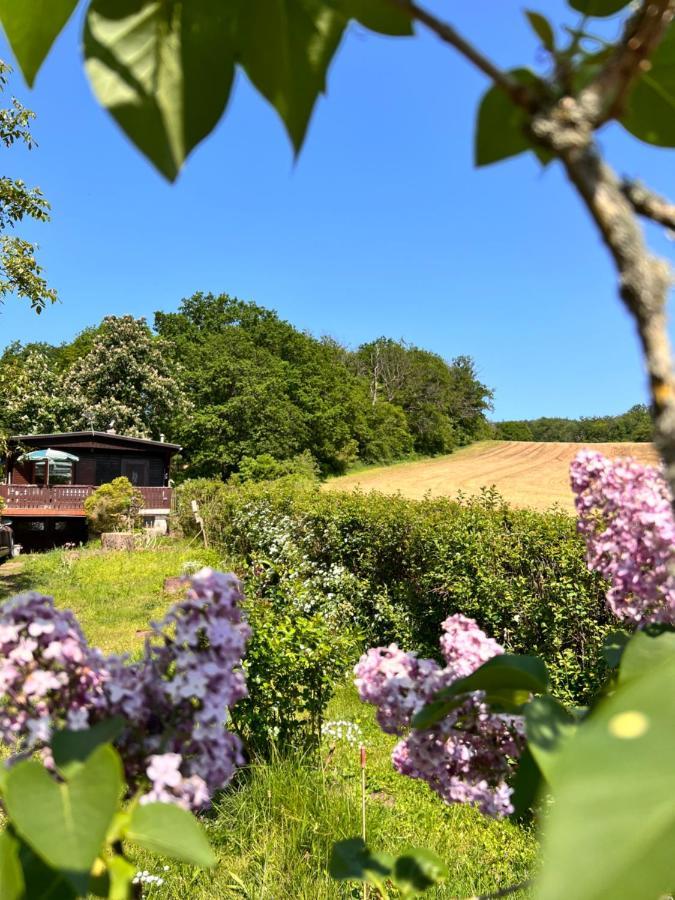 Ferienhaus Zittertal Neustadt Harz Haus I Villa Harztor Exteriör bild
